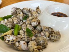 白灼花螺-金地利海鲜酒楼(清凉门店)