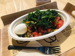 -油梨树AVOCADO TREE(嘉里中心店)