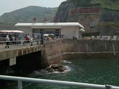 -枸杞岛