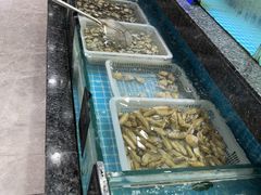 -渔码头食府(蓬莱阁店)