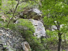 -北京鹫峰国家森林公园