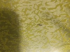 -福照楼汽锅鸡·云南特色菜(万达广场店)