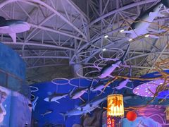 -烟台海昌鲸鲨海洋公园