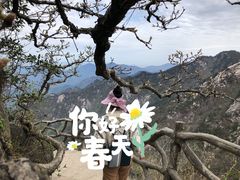 -罗田天堂寨风景区