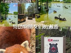 -合肥野生动物园