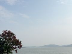 -东湖落雁景区