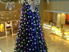 -芽庄喜来登水疗酒店