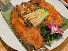 -紫滇源云南生态菜(丹凤街店)