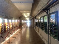 -青岛葡萄酒博物馆