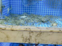 -香山湖渔家大院