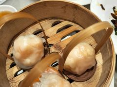 -金鼎轩(方庄天坛店)