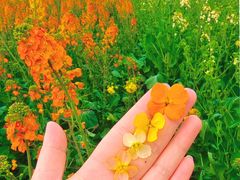 -中国天府农业博览园