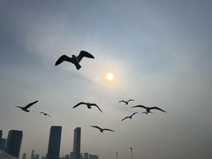 -东港音乐喷泉广场