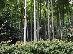 -杭州黄龙洞