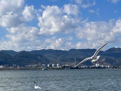-海埂大坝