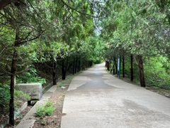 -府君山公园