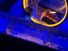 -轩 SUPER LIVE 超级现场(农科路店)