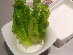 -海底捞火锅(万象汇店)