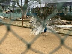 -武汉紫薇都市田园