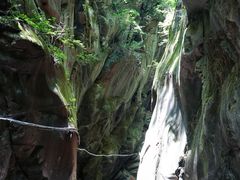 -黑河国家森林公园