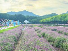 -盈香心动乐园