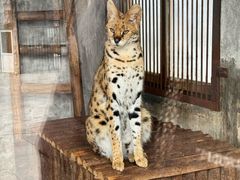 -石家庄市动物园