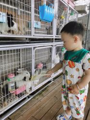 -小蜜蜂农场(凯德七宝购物广场店)