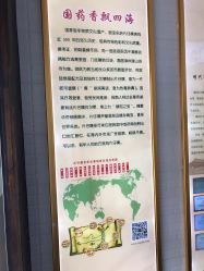 -片仔癀国药堂