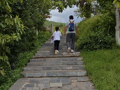 -世界恐龙谷景区