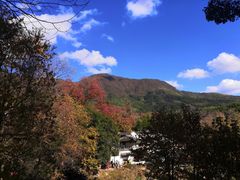 -塔川景区