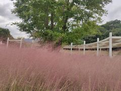 -牛岗山公园