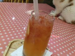 -滚猫咖啡·猫咖·猫友好撸猫(未来城店)