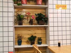 -十三朝牛馍王擀面皮(骡马市店)