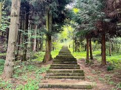 -武陵山森林公园