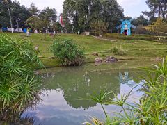 -铁山坪森林公园