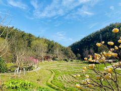 -常德桃花源景区