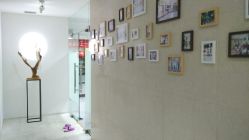 -榕树上·瑜伽普拉提