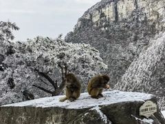 -庐山风景名胜区