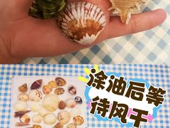 -贝壳沙滩