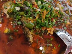 -院8里·少城记忆老川菜(宽窄巷子店)