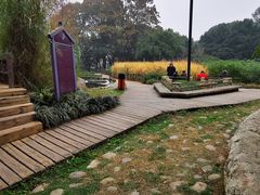 -成都市活水公园