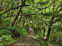 -牛背梁国家森林公园