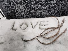 -武陵山森林公园