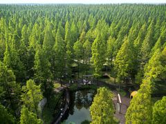 -黄海国家森林公园