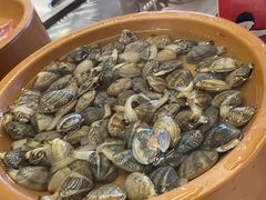 -龍歌自助小火锅(市南金茂湾店)