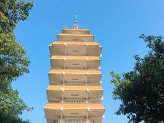 -鹅岭公园瞰胜楼