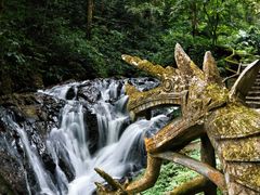 -莫里热带雨林景区