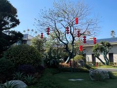 -森波拉火山温泉