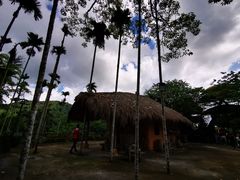 -海南槟榔谷黎苗文化旅游区