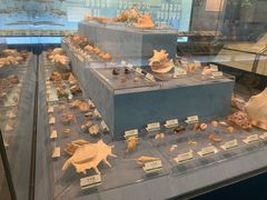 -浙江自然博物院(杭州馆)